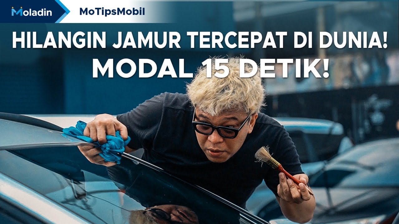 Cara Menghilangkan Jamur Kaca Mobil Paling Mudah dan Cepat yang Jarang Orang Tau! | Moladin
