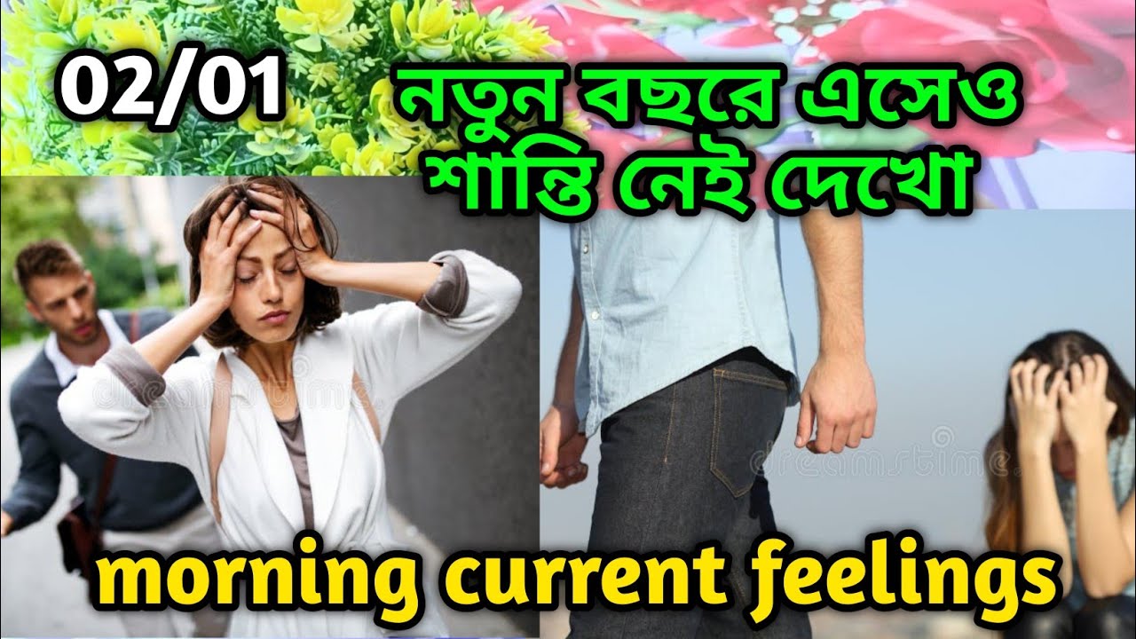 নতুন বছরে এসেও শান্তি নেই দেখো💔Morning Thought feelings tarot Current feeling energy today 
