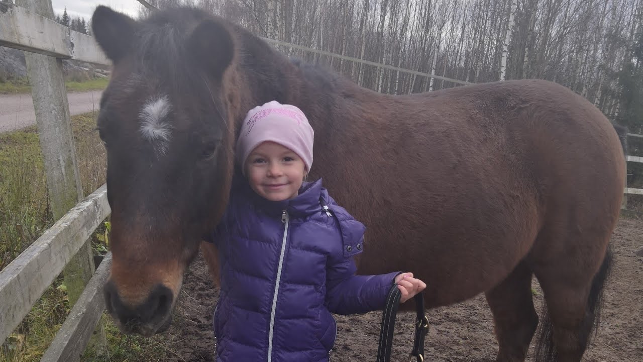 Mila laukkaa itse ekaa kertaa