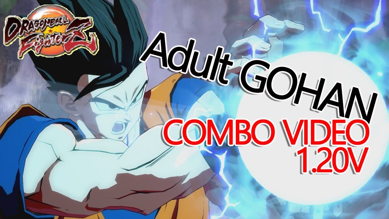 [ Season.2 ] Adult GOHAN combo video / 청반 콤보 비디오