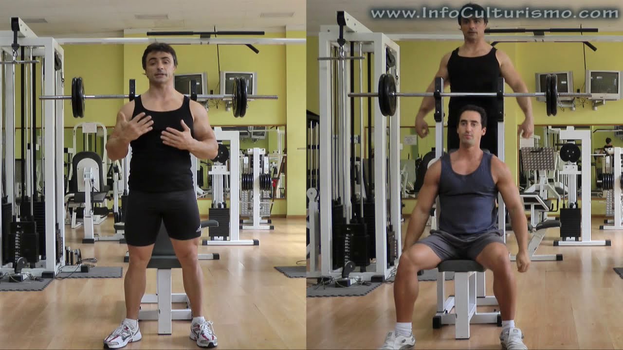 PRESS MILITAR SENTADO - Tutorial completo