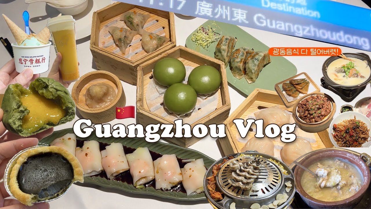 광저우Vlog | 홍콩에서 광저우까지 기차타고 맛집 털고옴! 딤섬은 홍콩이 아니라 광저우가 찐😍 코리아타운에서 한식도 먹고 인생 흑임자죽도 먹은 2박3일 광저우 여행