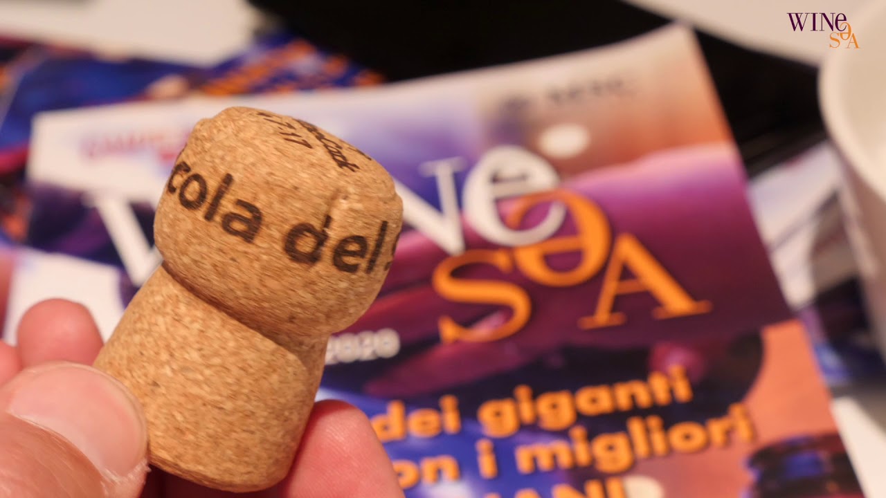 WINE SEA CON VINICOLA DEL SANNIO 🍷