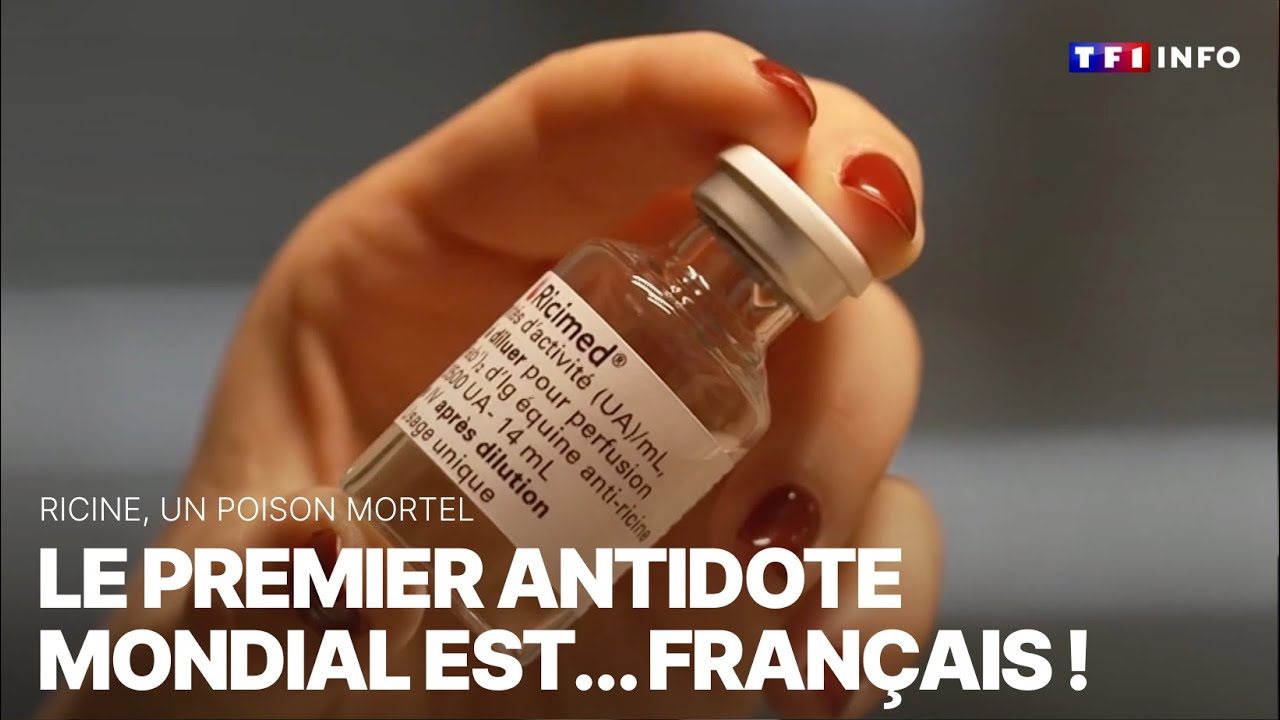 Ricine, le premier antidote mondial est... français !｜TF1 INFO