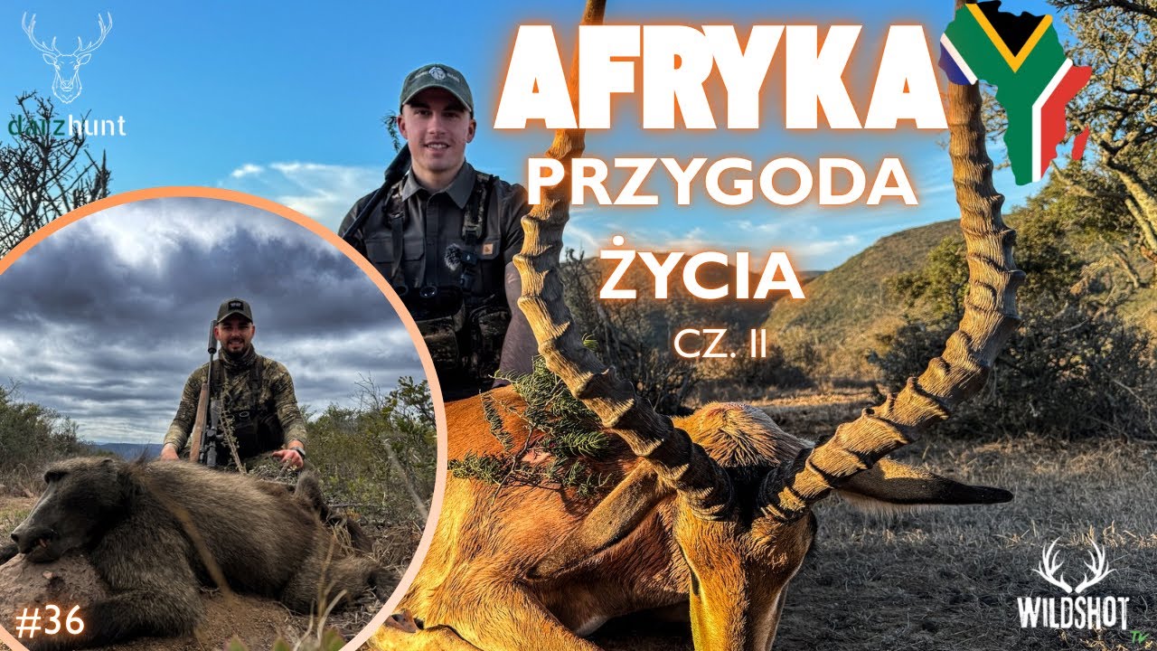 #36 Polowanie w RPA na Pawiana i byka Impali/Hunting in South Africa for baboon and an impala bull