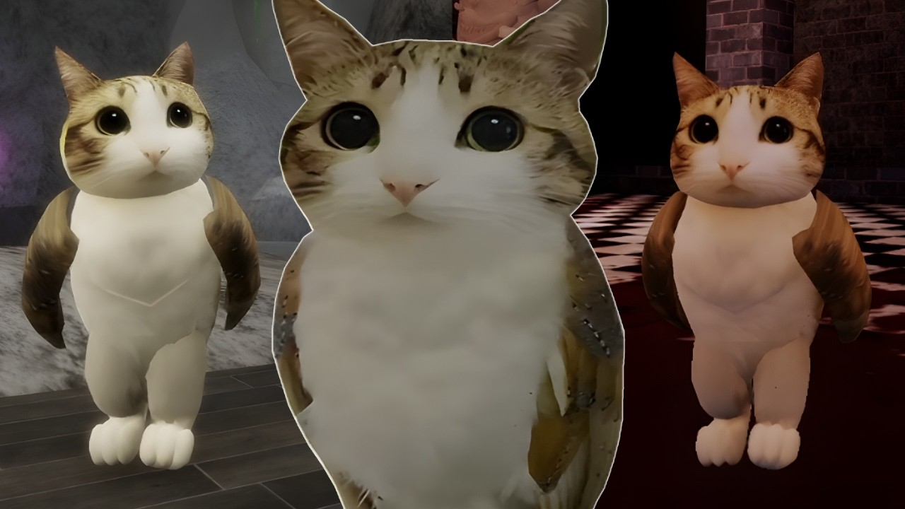 PLAYING WITH MEOWL + LMS | Outcome Memories