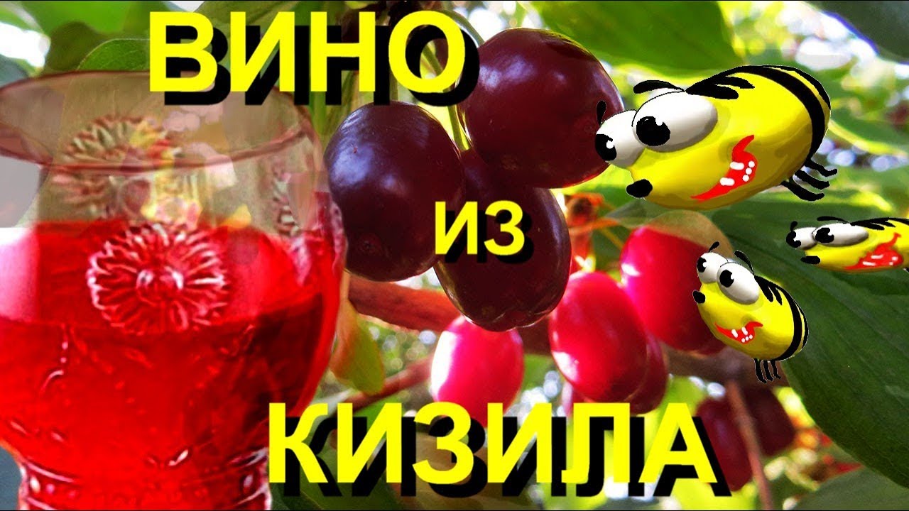 Ароматное вино с КИЗИЛА (пошаговый рецепт)