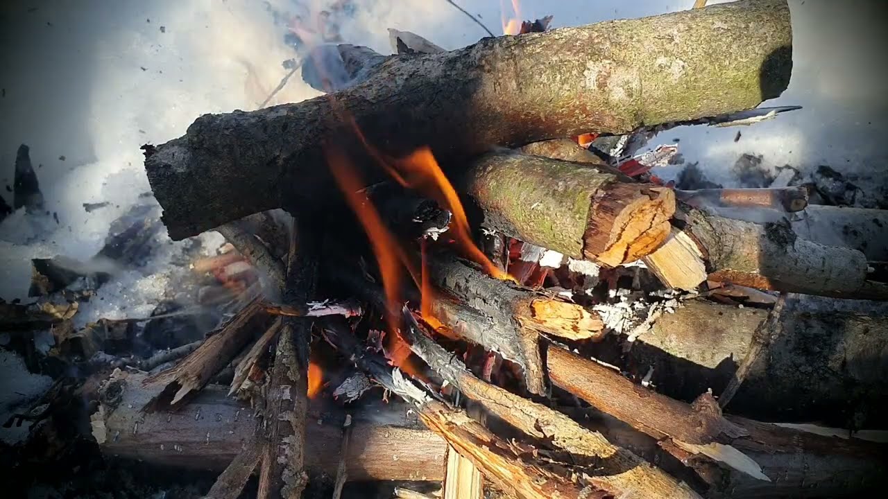 jivine şi bunătăți
