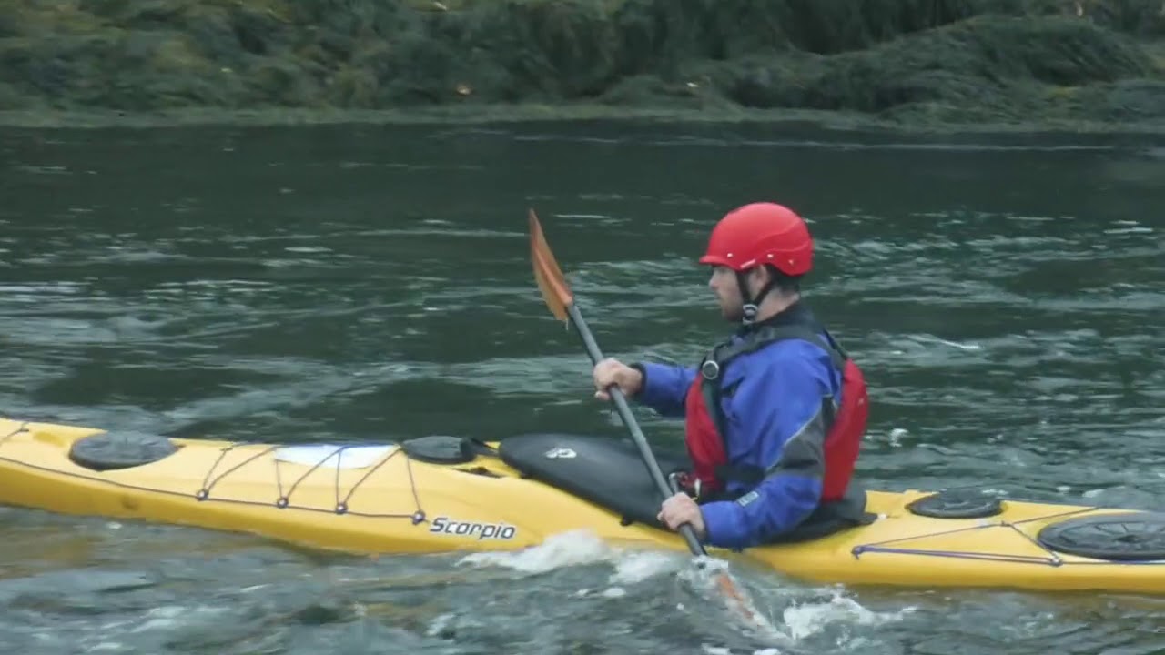 Coastal Kayak Trip Leader Award - Maine Coast