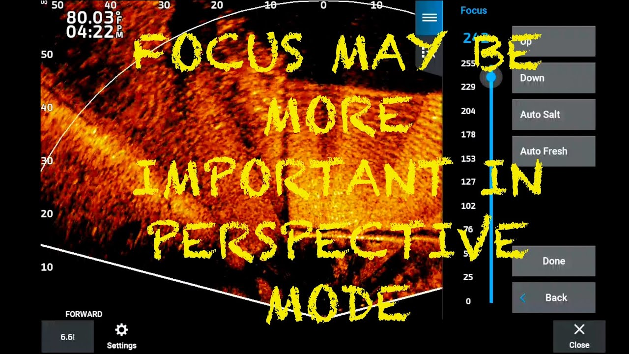 Garmin Livescope: Focus May Be More Important In Perspective Mode