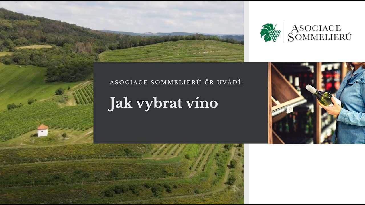 Asociace sommelierů ČR uvádí: Jak vybrat víno?