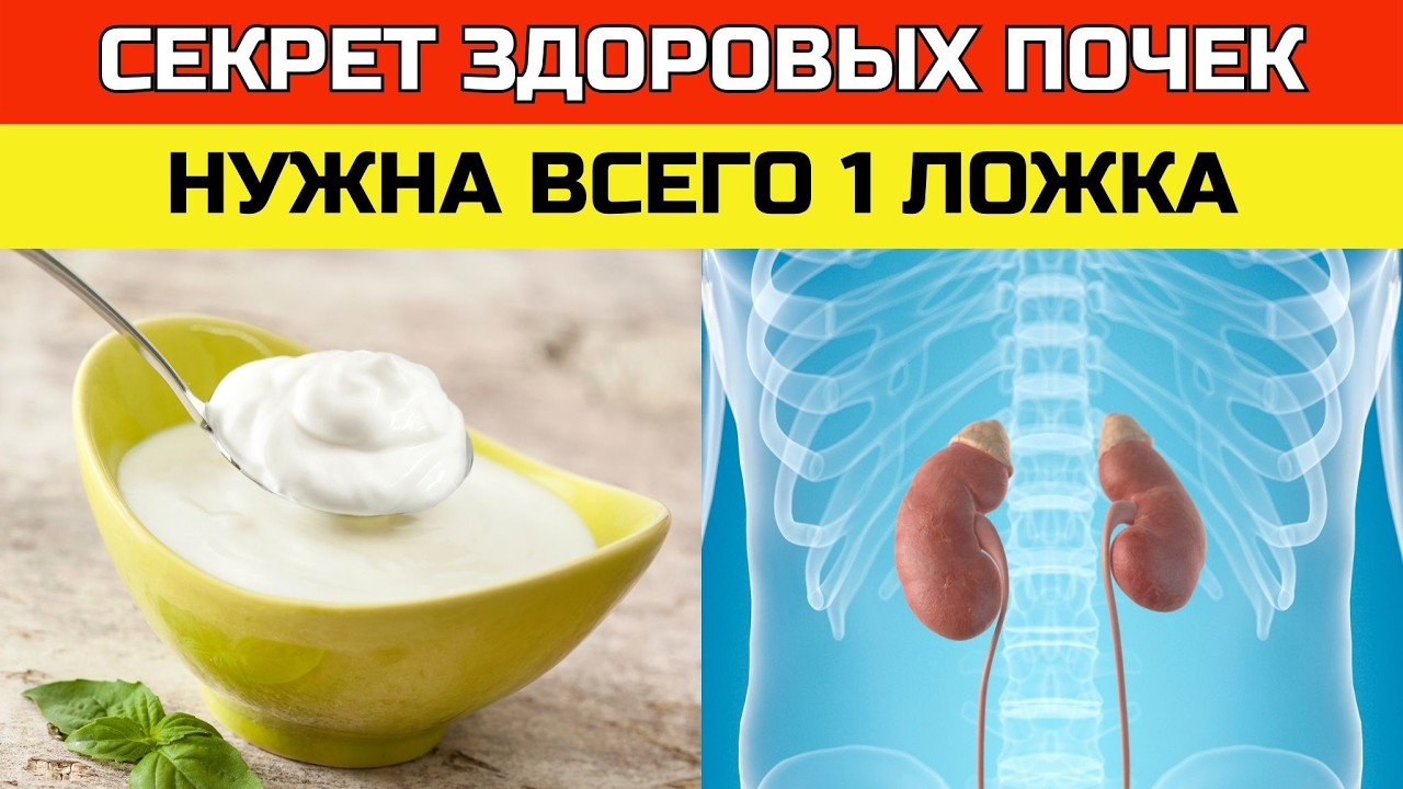 Топ-4 продуктов для выведения токсинов и быстрого восстановления почек | ЗДОРОВЬЕ ПОСЛЕ 50