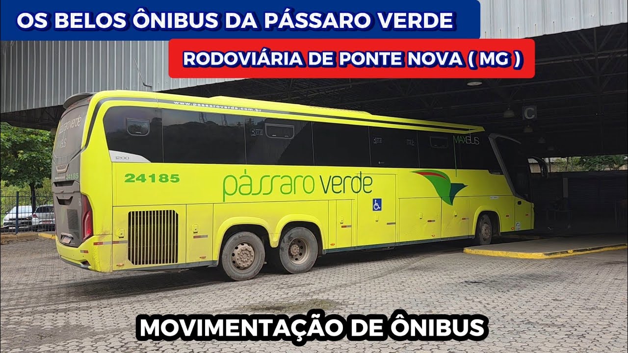 PÁSSARO VERDE SURPREENDEU ! MOVIMENTO DE ÔNIBUS NA RODOVIÁRIA DE PONTE NOVA ( MG )
