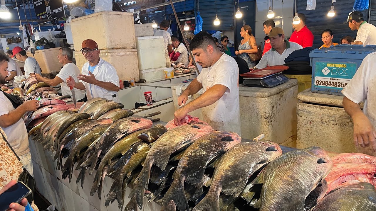 Fartura na maior feira de peixes frescos de Manaus-Am #amazon #fishing #pescaria #amazing 