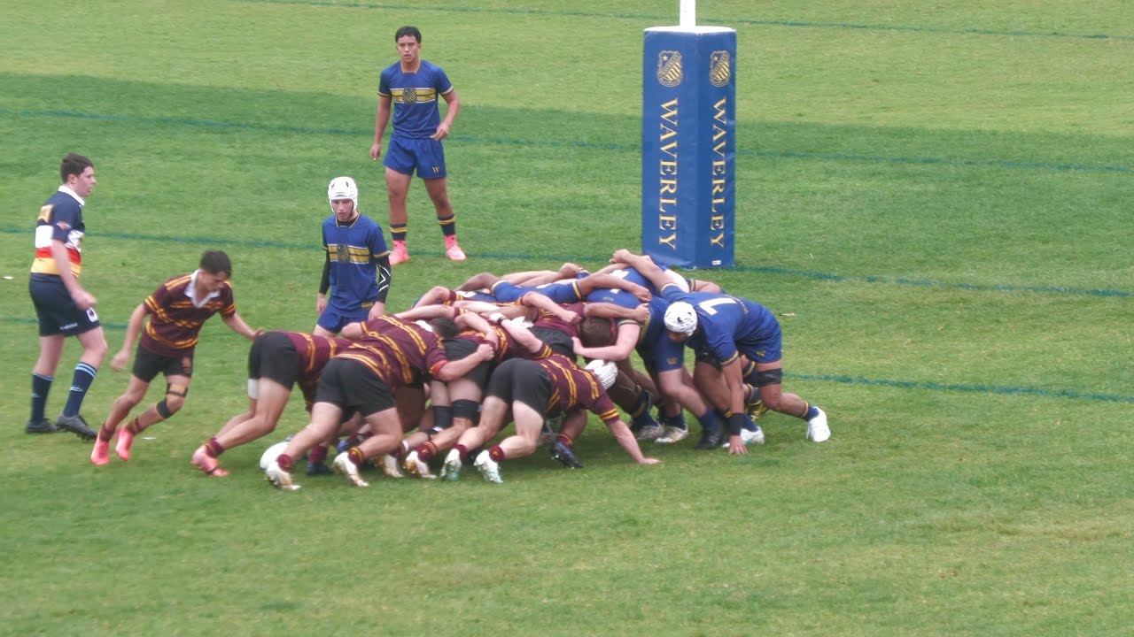 2024-06-01 16A Rugby Oakhill v Waverley