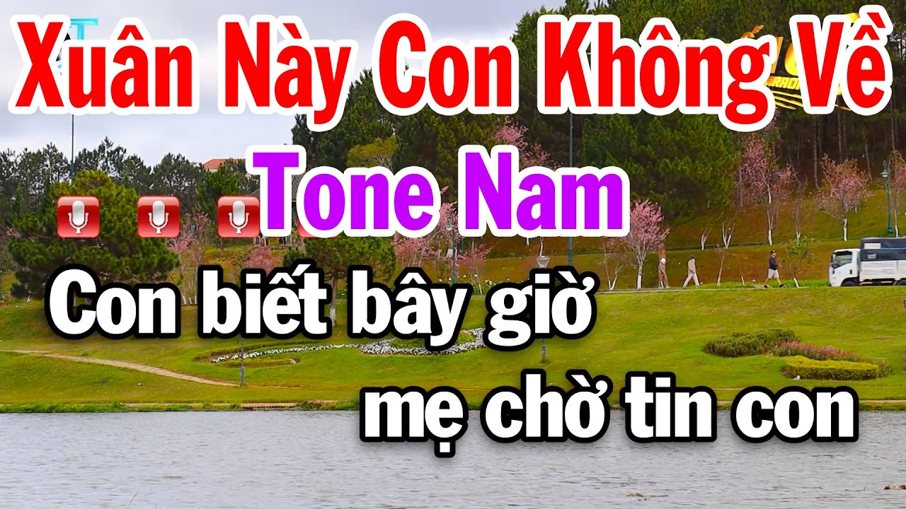 Karaoke Xuân Này Con Không Về Tone Nam ( Rê Trưởng ) Beat Dễ Hát 2026