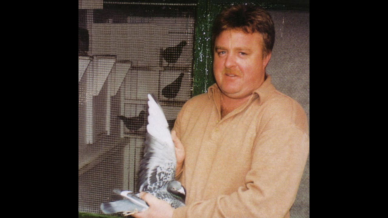 Video 312: Steve Carder of Sheffield: Premier Pigeon Racer