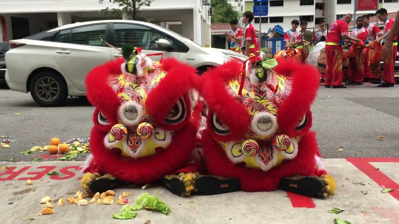 騰勇關聖宮龍獅團 Teng Yong KSK Lion Dance Cai Qing Performance at Yu Feng Hua Shan Dian 13 Nov 2022