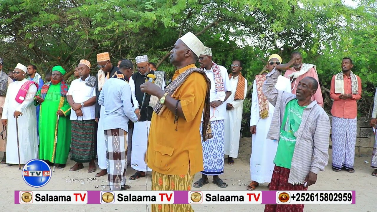 Siyarada Sh Xasan Cilmi Faarax | Baqdaadiya | Xaaji  Aarmiye