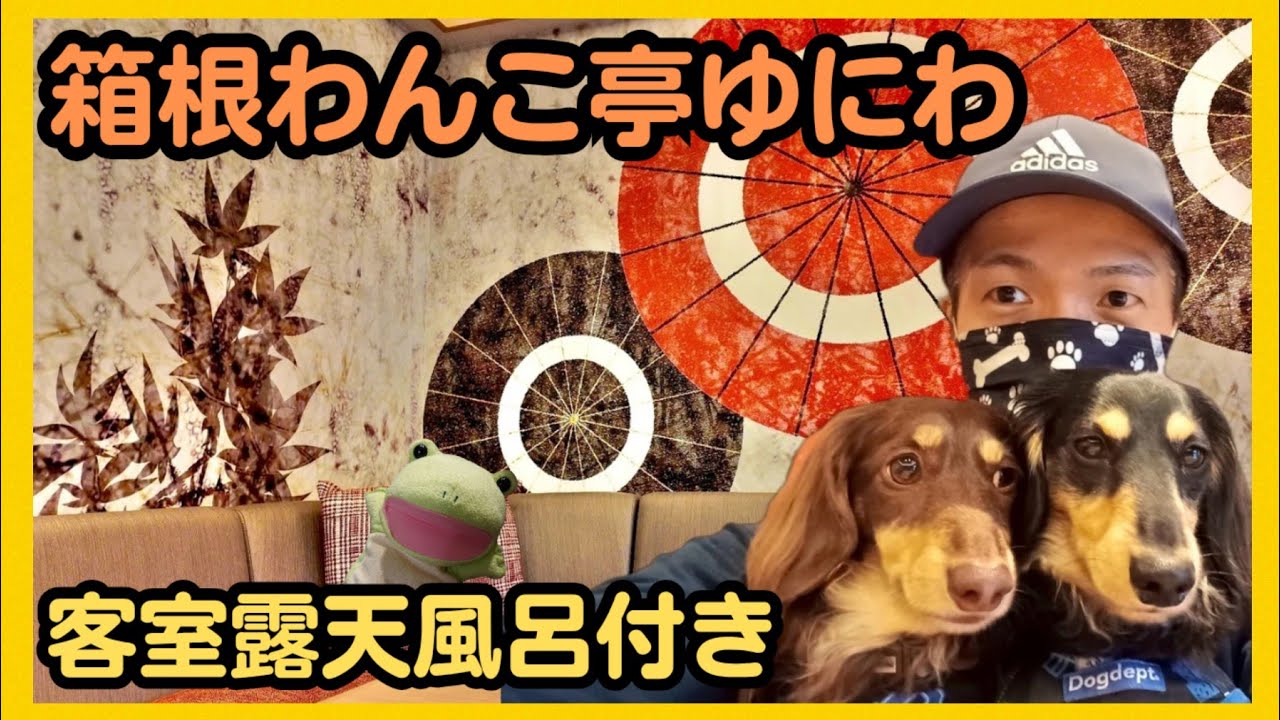 【箱根わんこ亭ゆにわ】1日最大4組限定の箱根で犬と泊まれる宿の紹介。