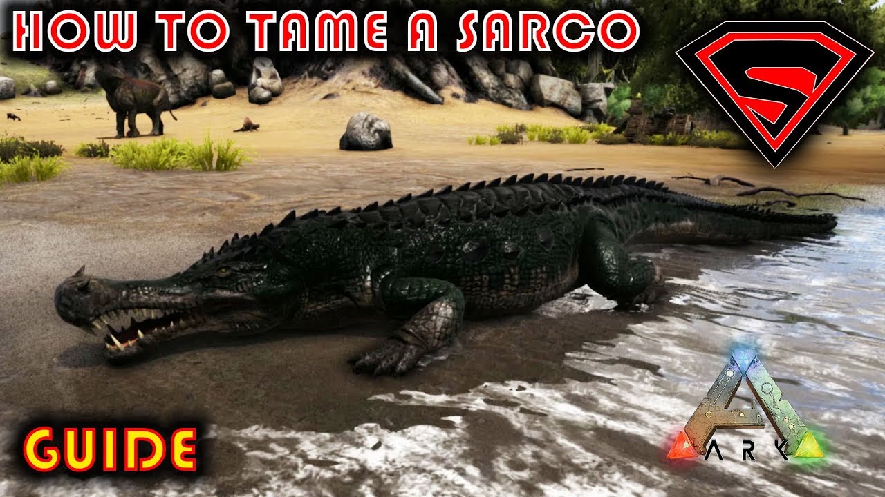 ARK HOW TO TAME A SARCO 2019 - EVERYTING YOU NEED TO KNOW ABOUT TAMEING A SARCO IN ARK