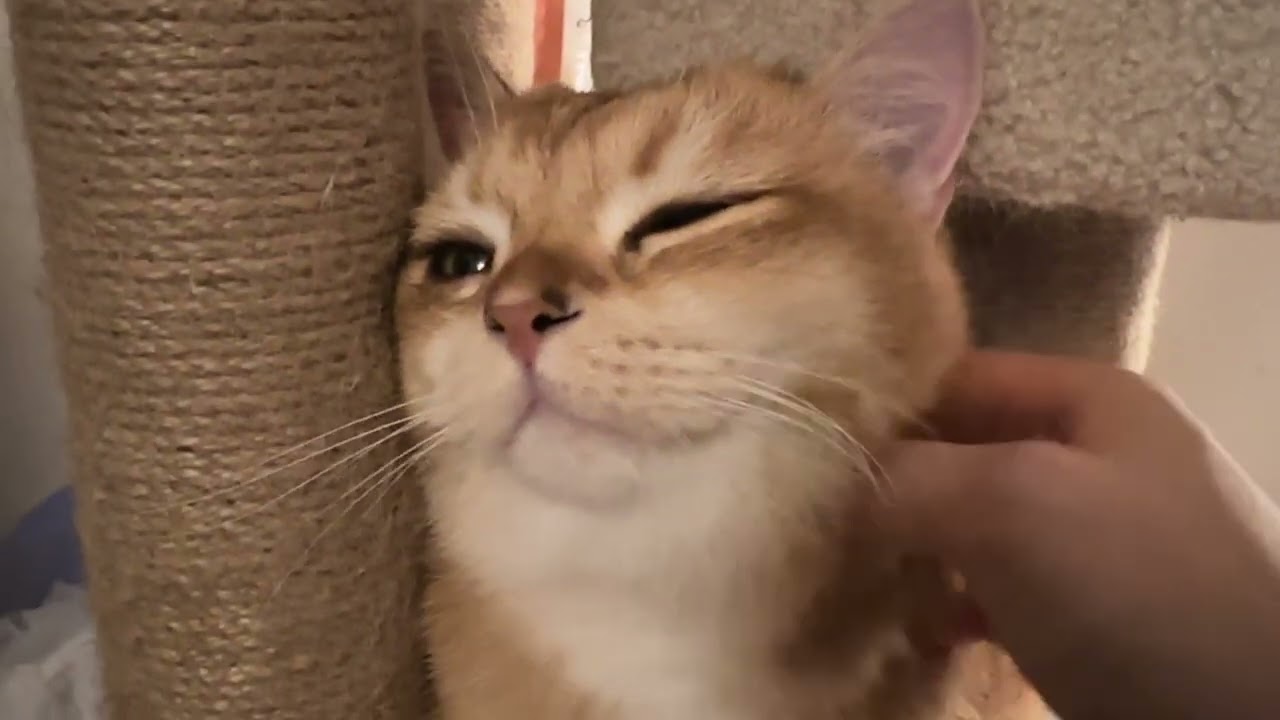 뀨룩?