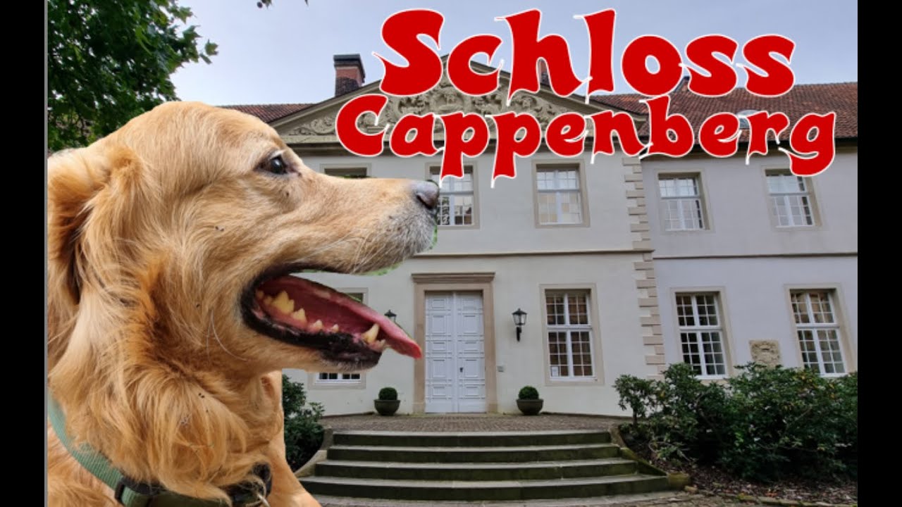 Wandern am Schloss Cappenberg  4K #wandern #wandernmithund #schloss
