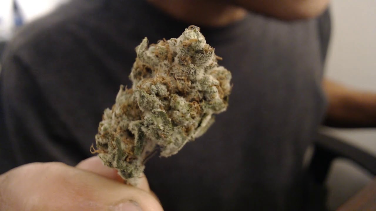 Gelato is here at Canasociety delivery