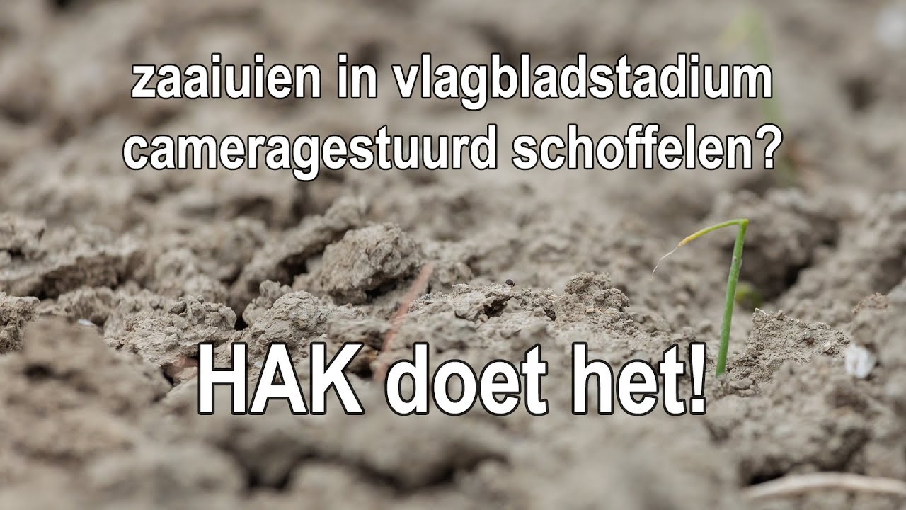 Schoffelen met camerabesturing in hele jonge uien bij Maatschap Van der Wel.