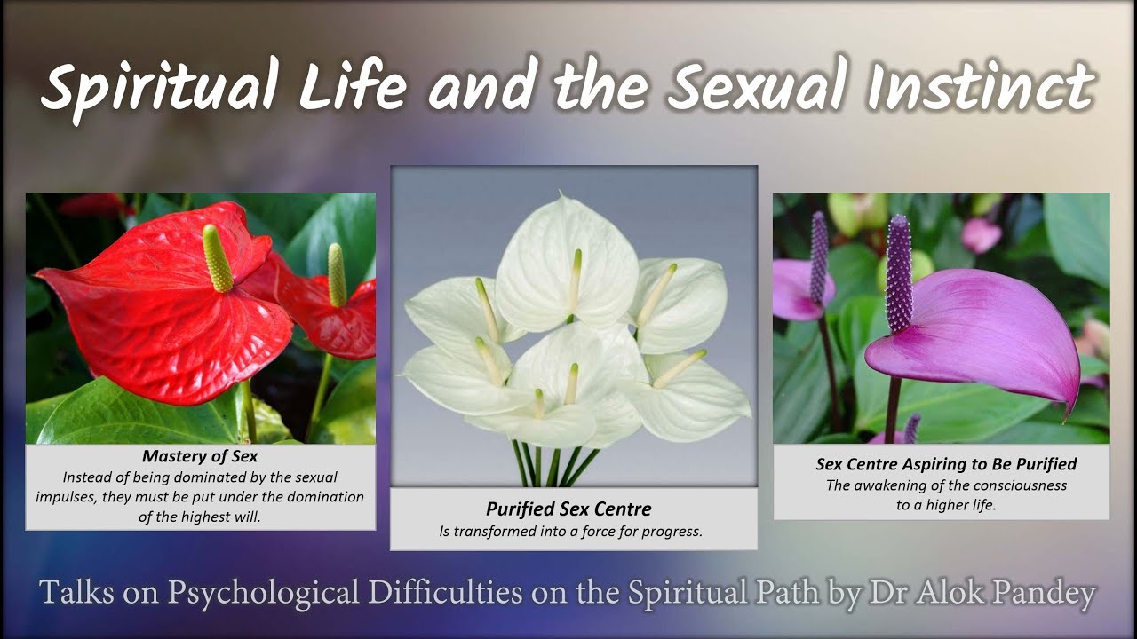 Spiritual Life and the Sexual Instinct - Alok  Pandey's talk in Auroville (TE 166)