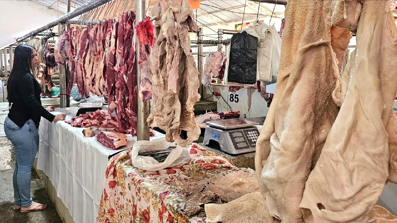 NA FEIRA ENCONTREI FEIJÃO VERDE E CARNE FRESCA COM FARTURA