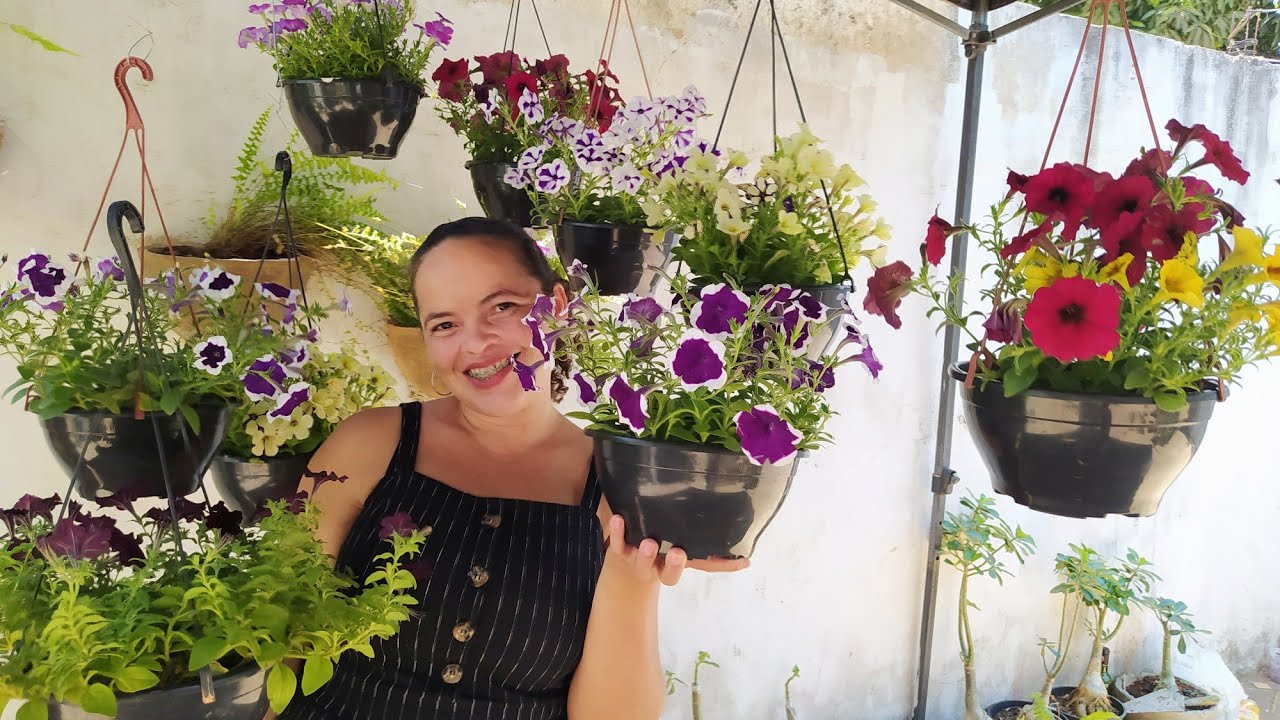 Como cultivar petúnias e manter-las sempre lindas