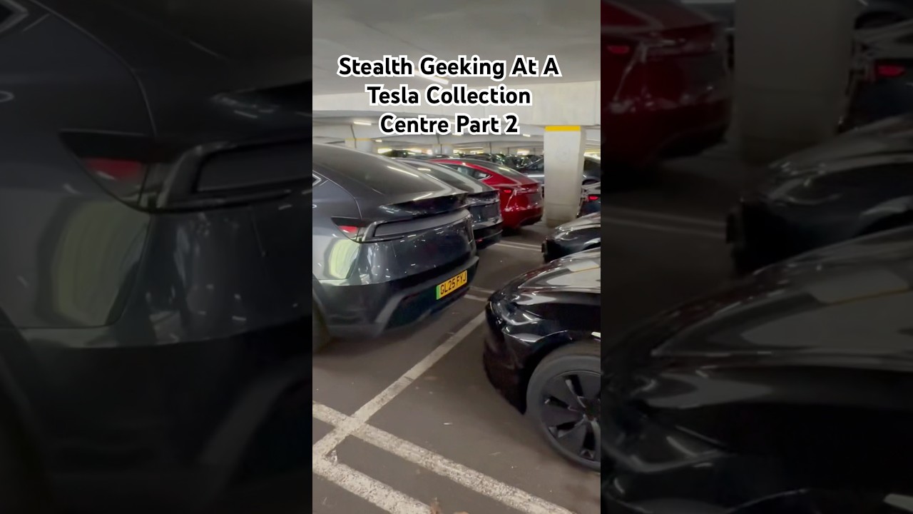 Stealth Geeking Out At A Tesla Collection Point- Part 2 #tesla #teslamodel3 #teslamodely #modely
