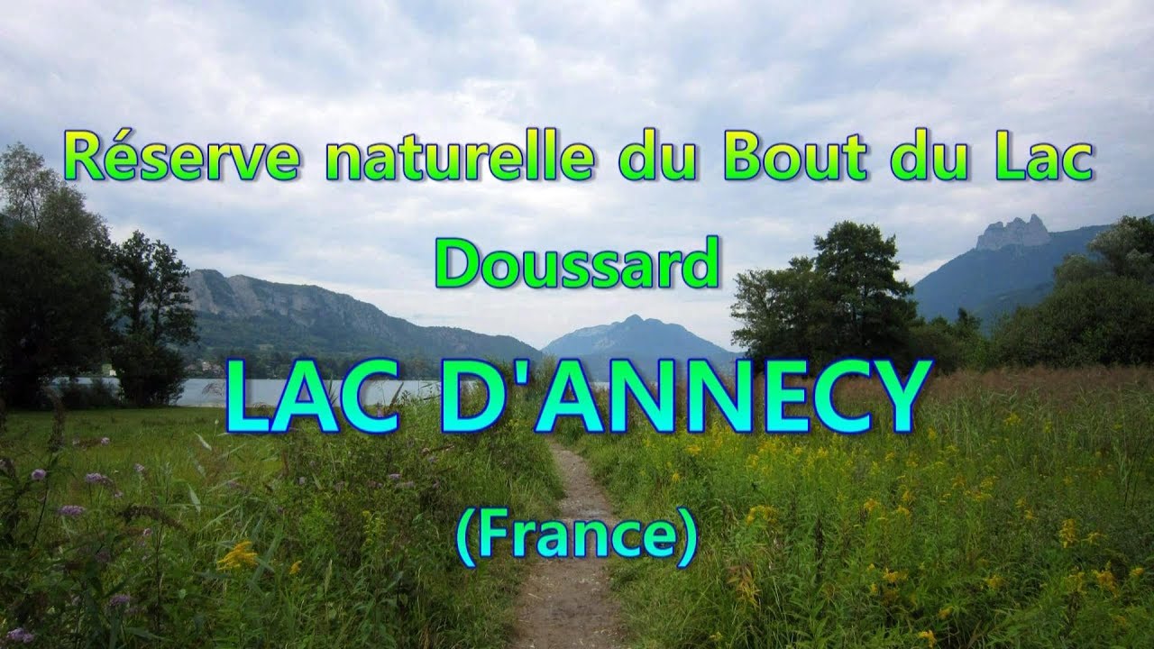 Lac d'Annecy: Réserve naturelle du Bout du Lac, Doussard, France