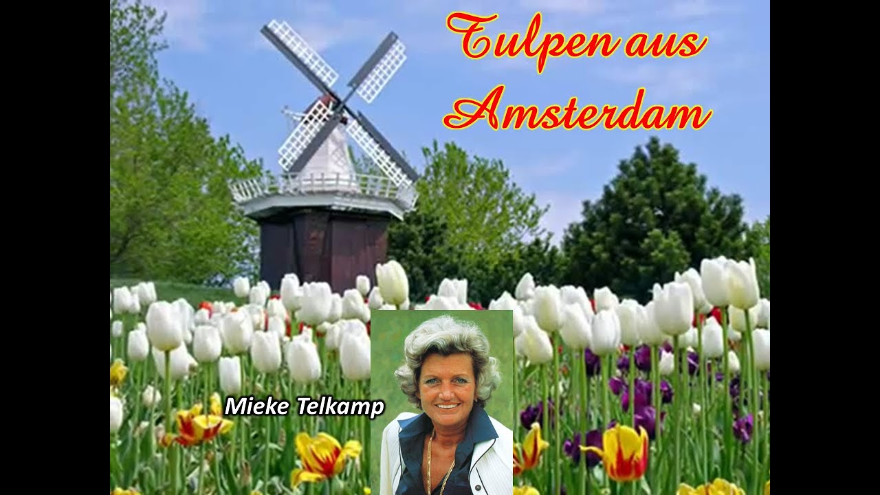 Tulpen aus Amsterdam - Mieke Telkamp