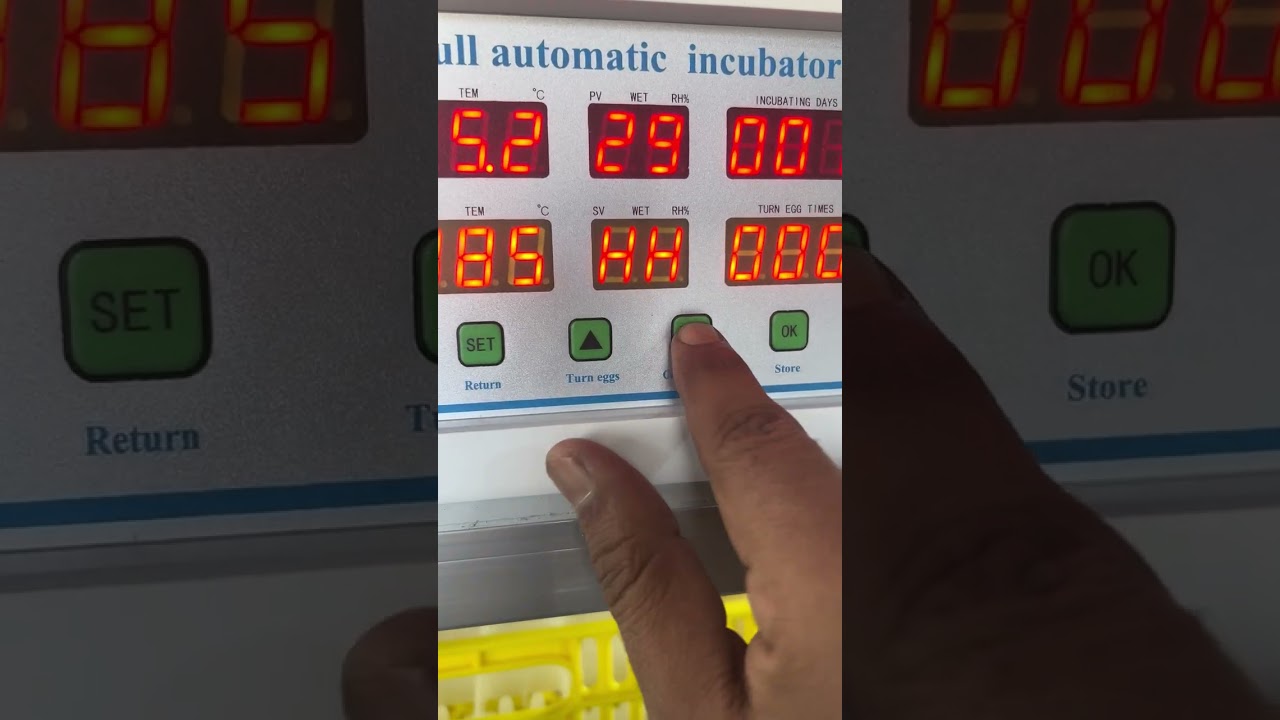 استخدام فقاسة الحور بلس