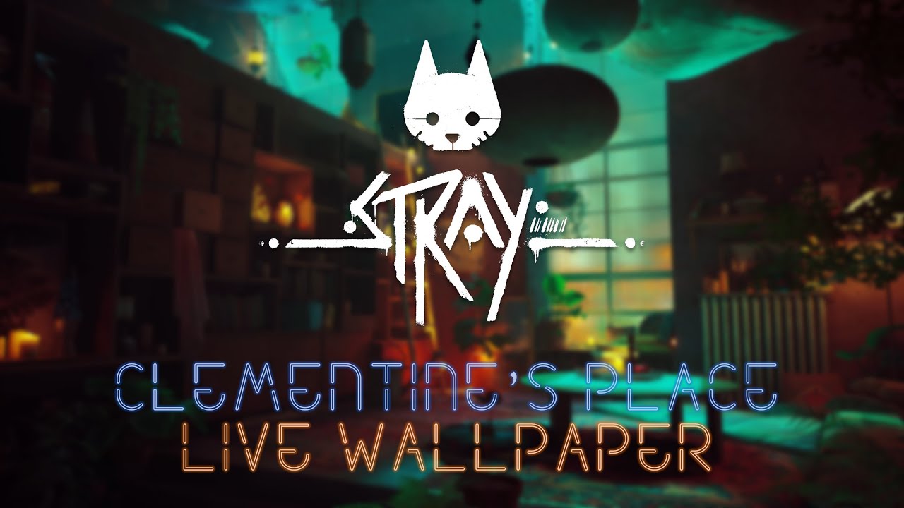 Clementine's Place   I   Stray   I   Live Wallpaper   I   4K