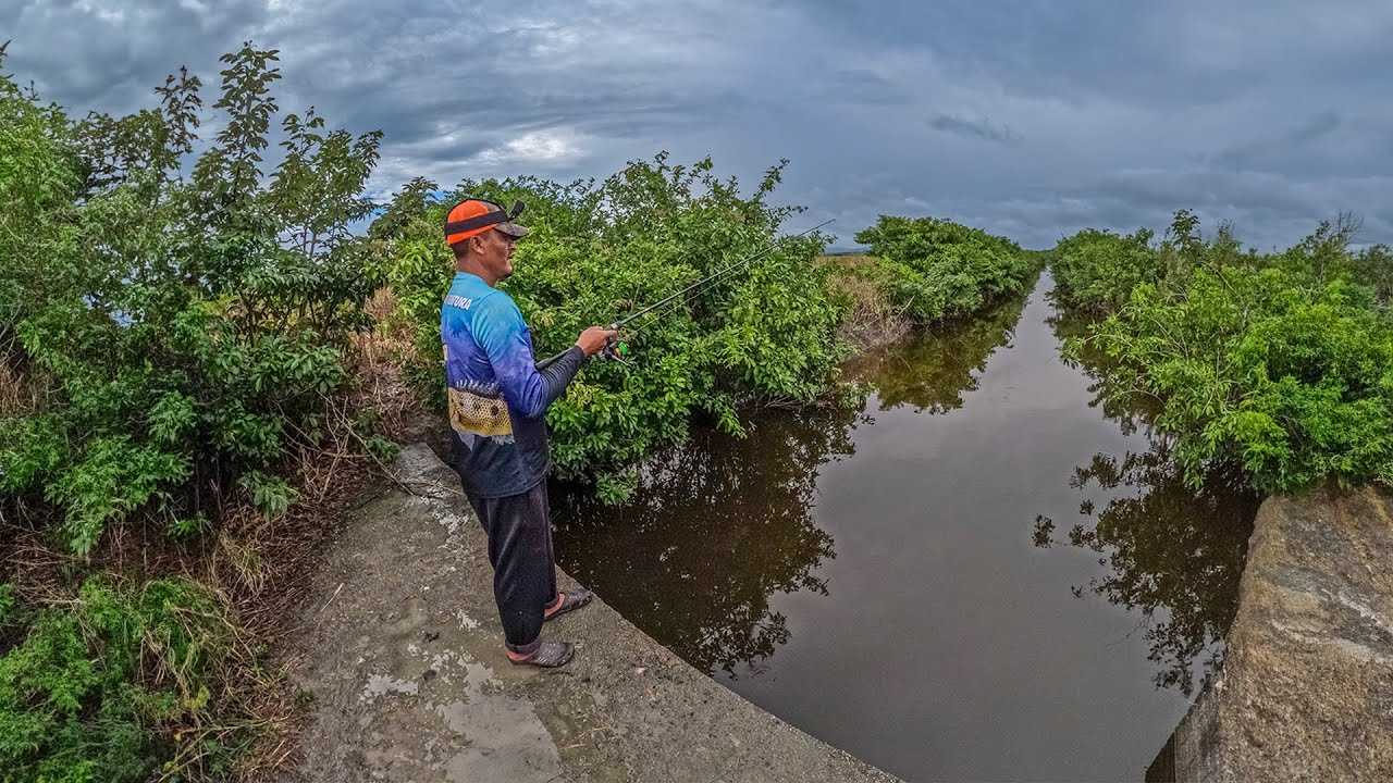 pescando y explorando un hermoso lugar de Pesca Con Anzuelo y lombriz
