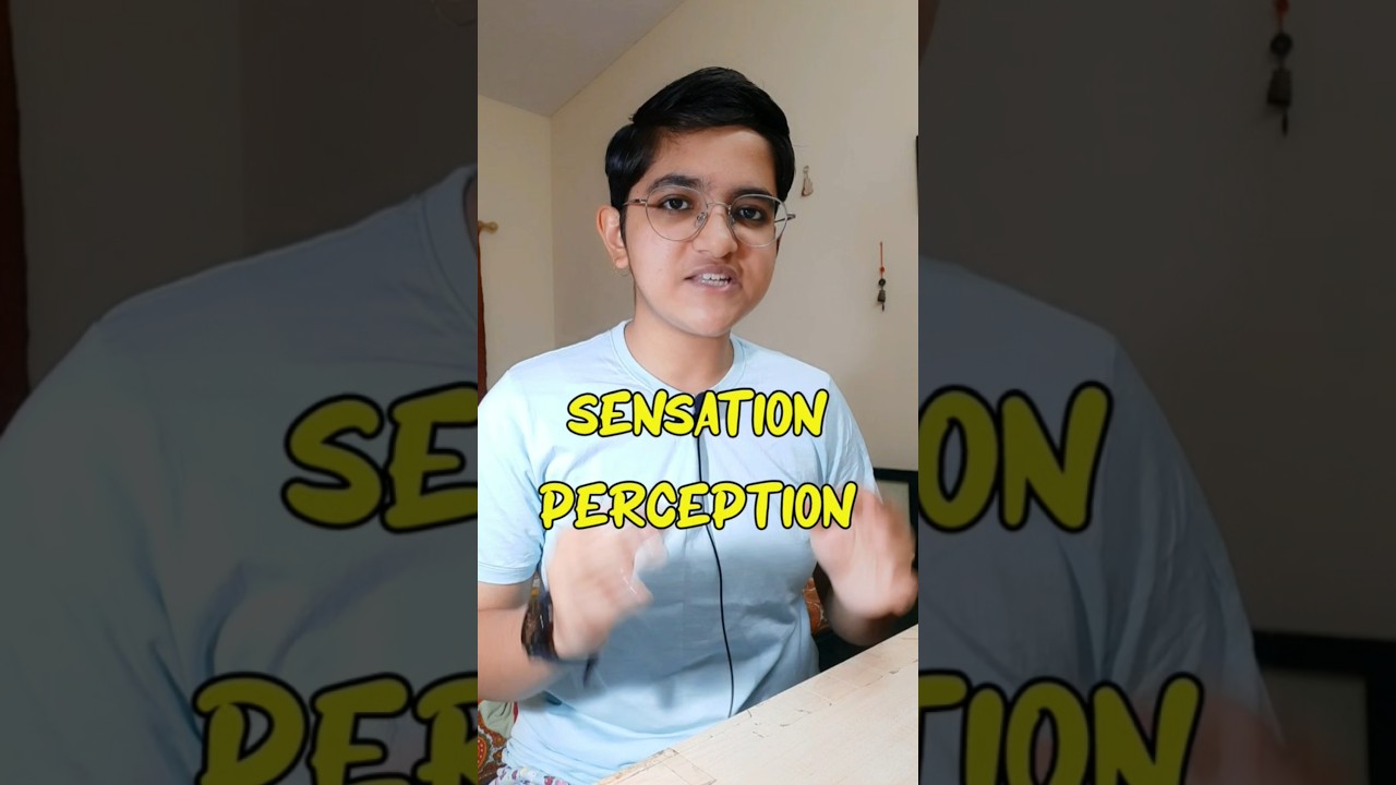 Sensation vs Perception | Psychopedia Sam