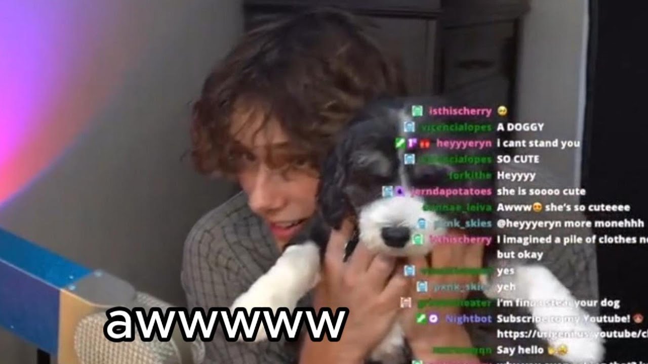 JVKE being a cutie for 4 minutes