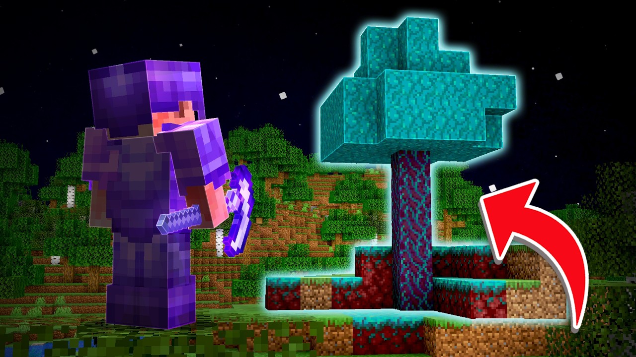 to miejsce NIE POWINNO ISTNIEĆ na REBORN SMP!
