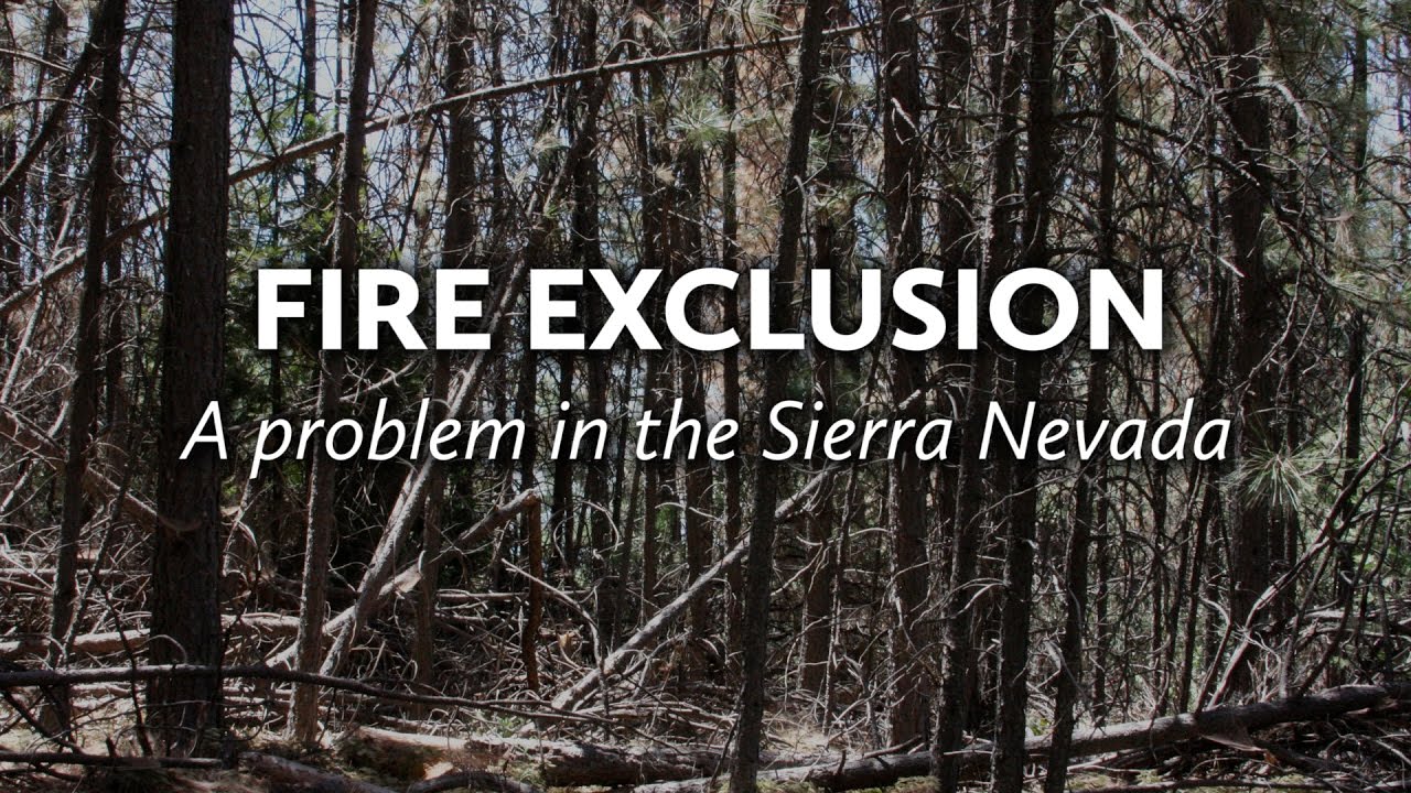 Fire Exclusion: A Problem in the Sierra Nevada
