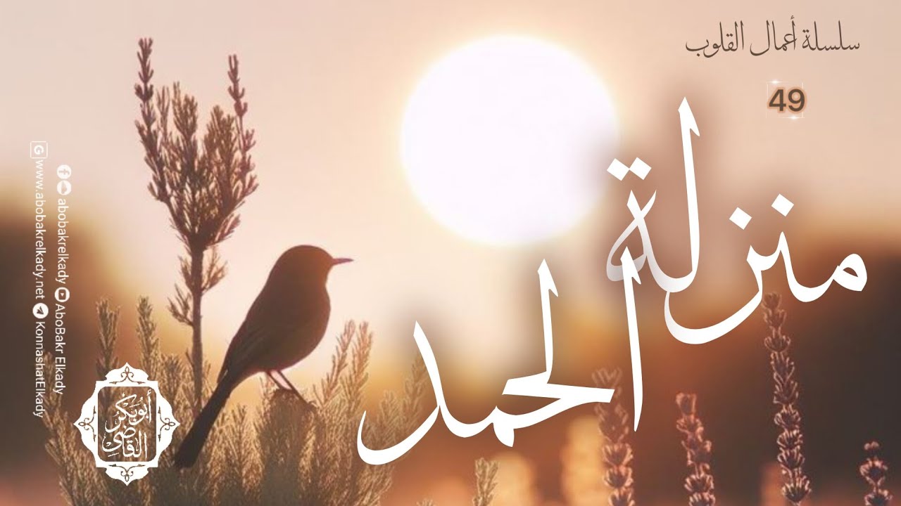 منزلة الحمد🤍||49- سلسلة شرح أعمال القلوب||د. أبوبكر القاضي