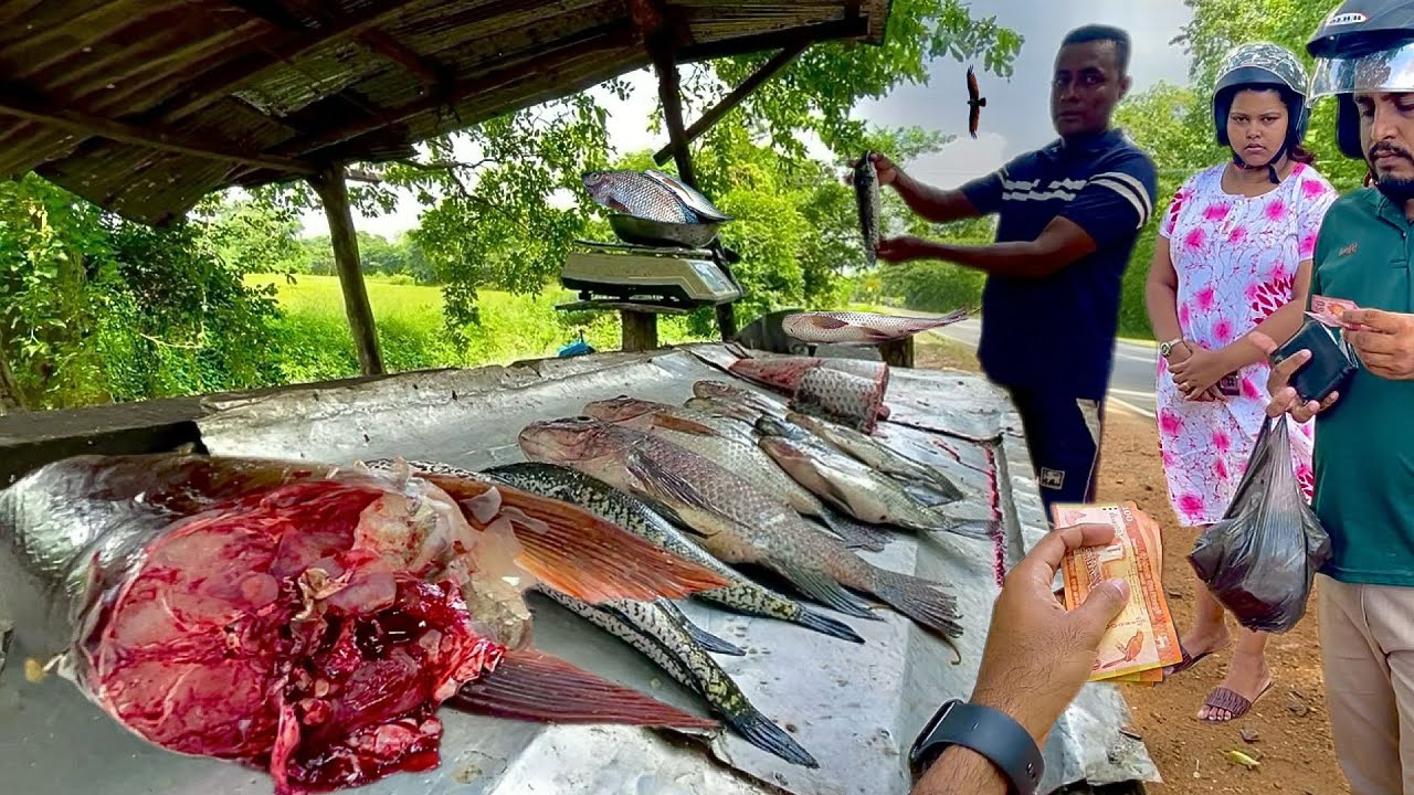 Authentic! Day In Life Vlog Of Rural Fishmonger's Traditional Street Fish Market