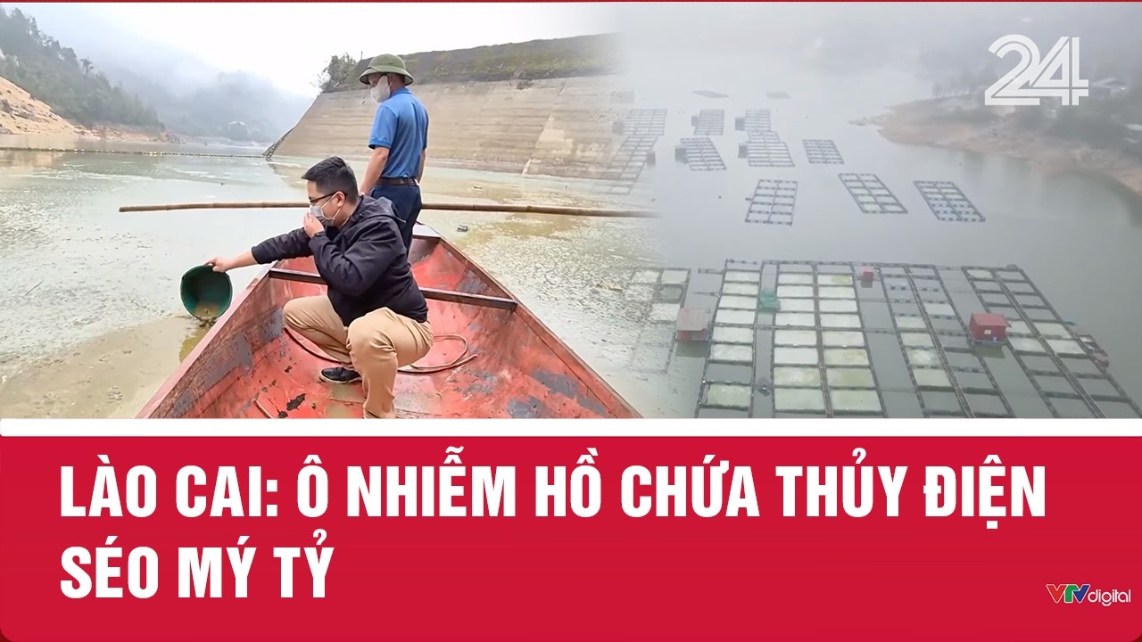 Lào Cai: Ô nhiễm hồ chứa thủy điện Séo Mý Tỷ | VTV24