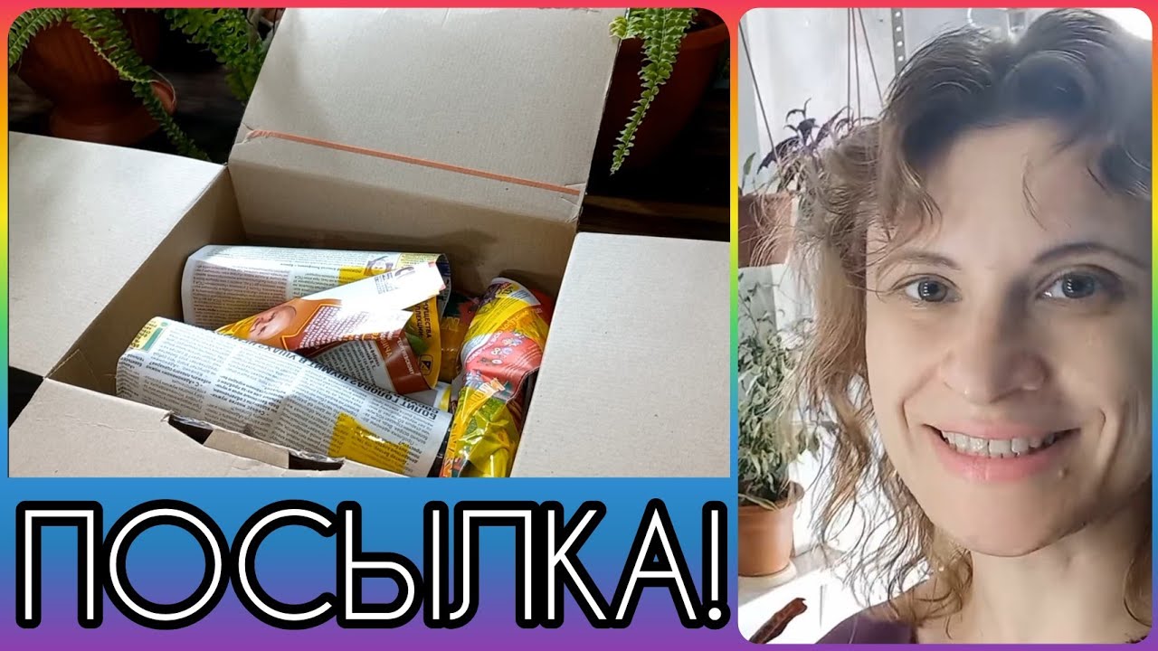 Уиии!🥳Посылка с растениями! От канала @Светланкины цветочки Распаковка, обзор и куча эмоций! Цветы🌸