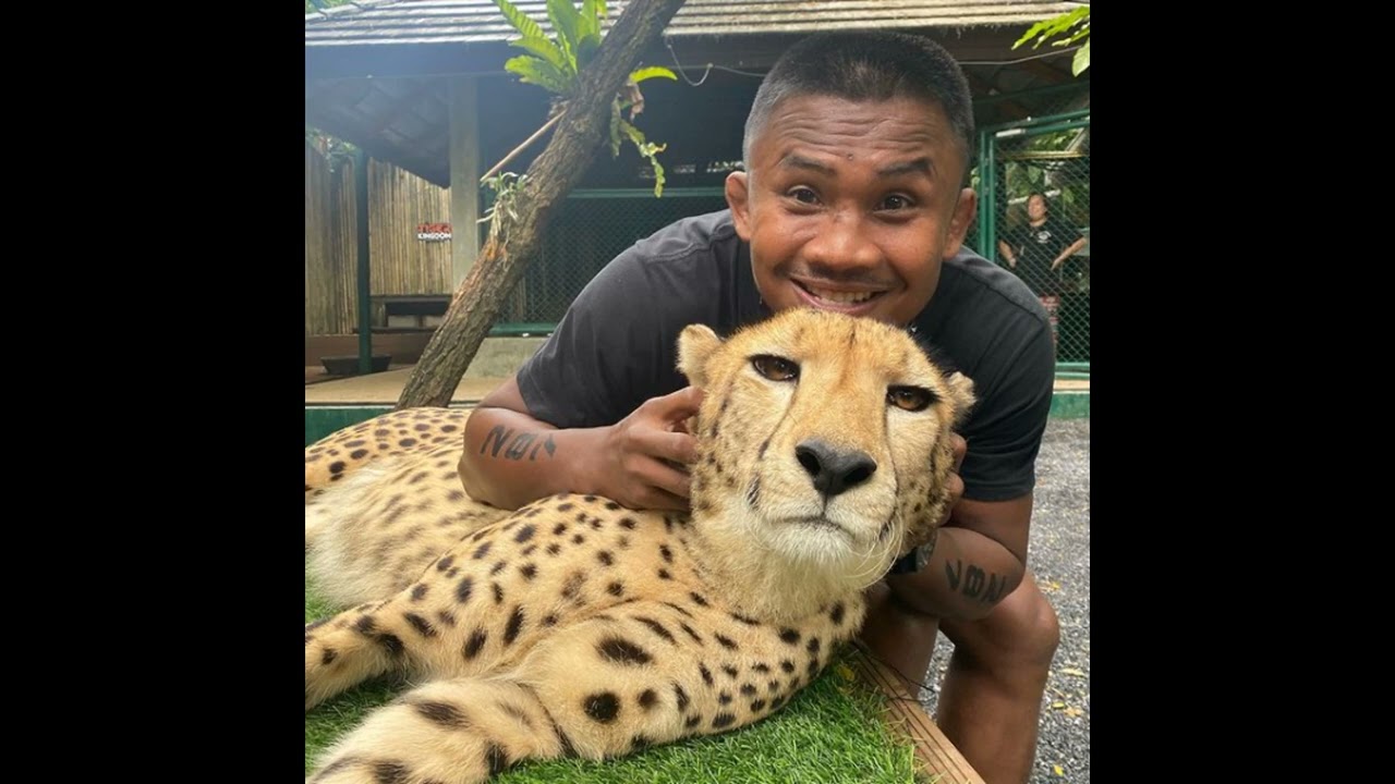 ceca autogram sped up nightcore