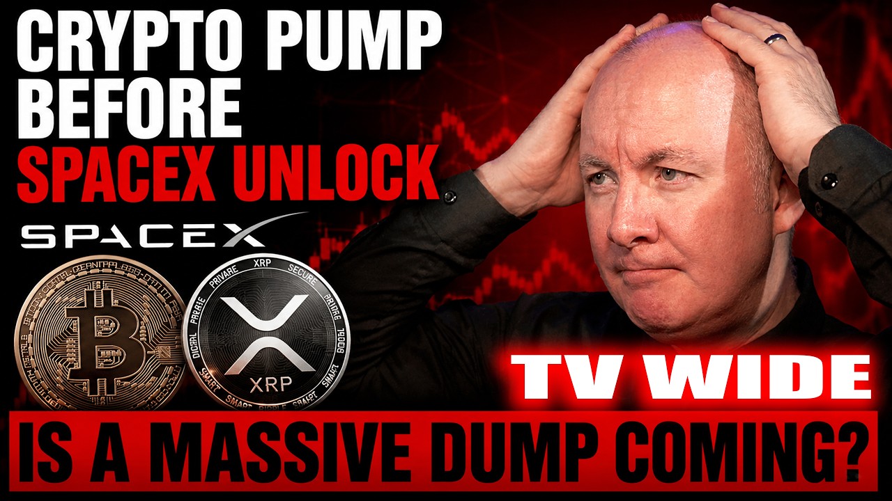 XRP BTC Crypto Pump Before SpaceX SPCX Stock Unlock &mdash; Massive Dump Coming? Martyn Lucas Investor