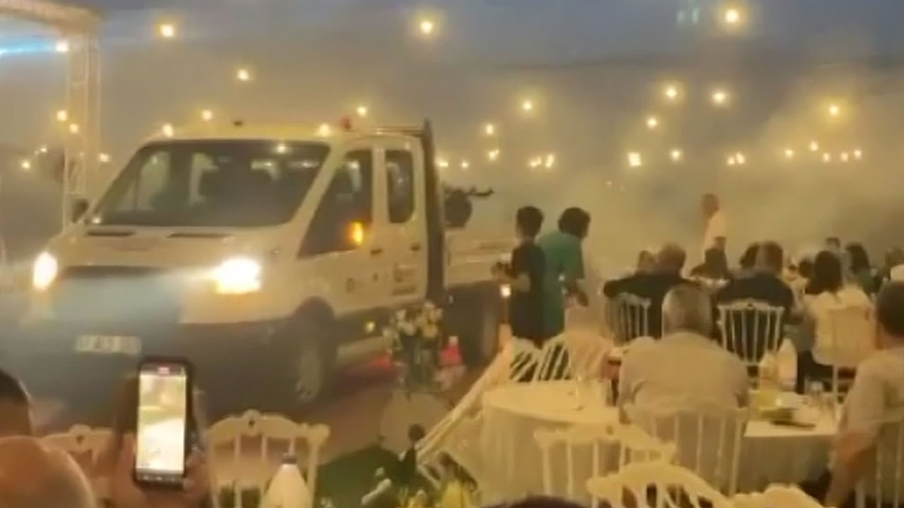 Antalya'da düğünü sivrisinekler bastı! Çareyi ilaçlama ekibini çağırmakta buldular