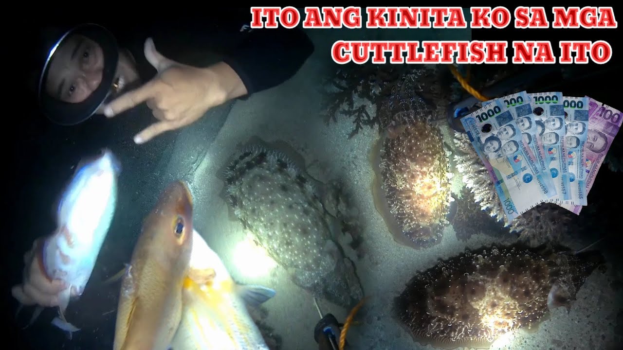 EP 110: ITO ANG KINITA KO SA MGA CUTTLEFISH NA ITO JACKPOT NANAMAN SA KULAMBUTAN